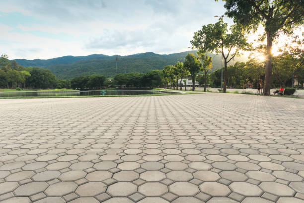 Residential Paver Driveway in Parkland, WA